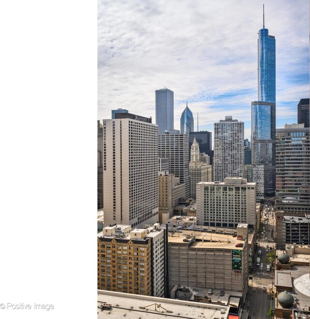 21 E Huron St Unit 3204, Chicago, IL 60611 - view of city