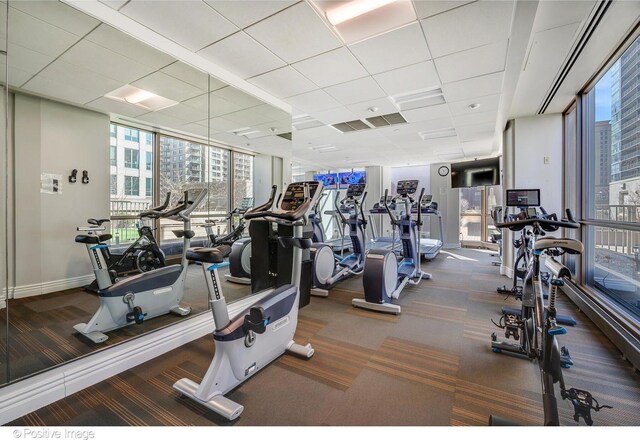 21 E Huron St Unit 3204, Chicago, IL 60611 - gym with carpet, expansive windows, and a paneled ceiling