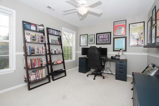 1207 Angle Tarn, West Dundee, IL 60118 - office with carpet, a ceiling fan, and baseboards