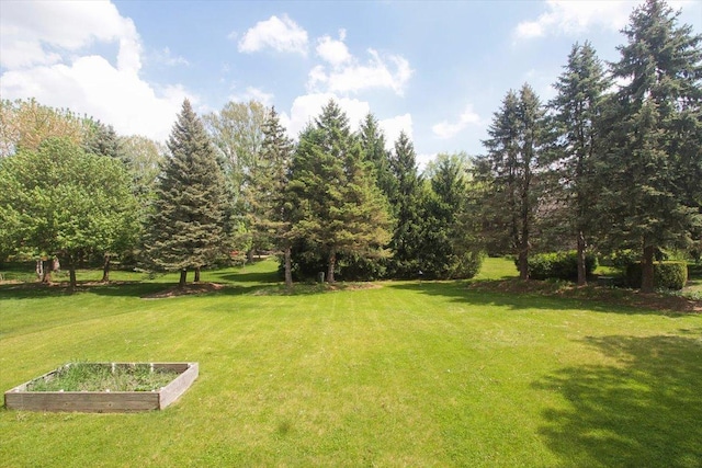 1207 Angle Tarn, West Dundee, IL 60118 - view of green lawn