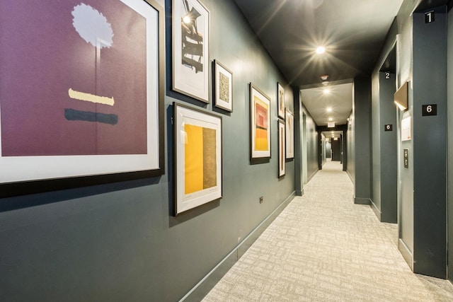 1701 W Webster Ave Unit 611, Chicago, IL 60614 - corridor with baseboards and light carpet