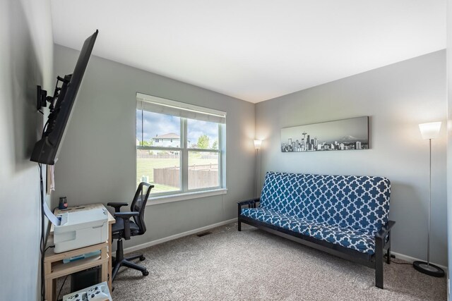 3080 Wickenden Ave, Elgin, IL 60124 - office with carpet and baseboards