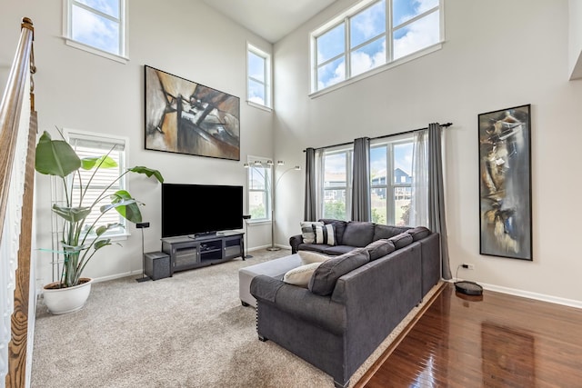 3080 Wickenden Ave, Elgin, IL 60124 - living area featuring a high ceiling, baseboards, and wood finished floors