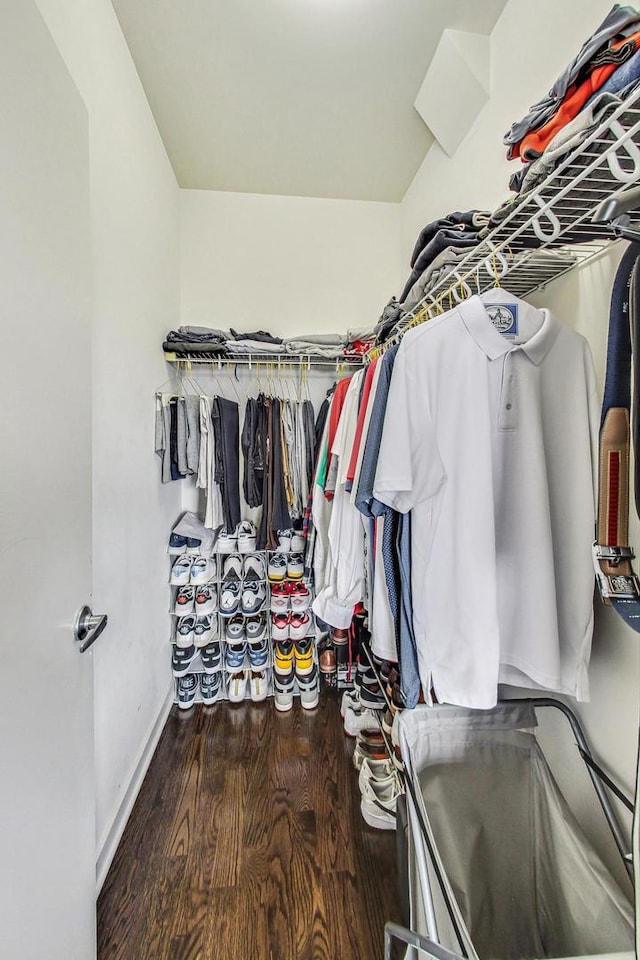 walk in closet featuring wood finished floors