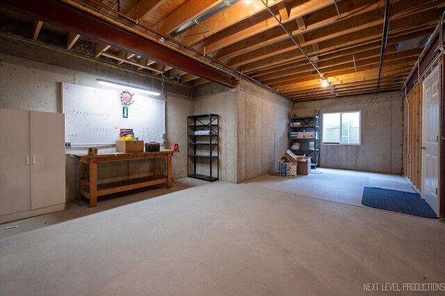 1123 Redbud Ln, Sugar Grove, IL 60554 - basement with a workshop area