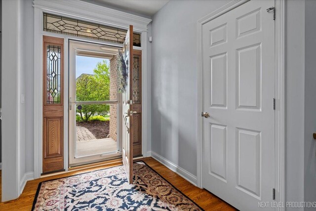 1123 Redbud Ln, Sugar Grove, IL 60554 - entryway featuring baseboards and wood finished floors