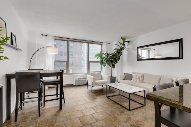 living area with stone finish flooring
