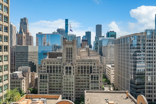 247 E Chestnut St Unit 1603, Chicago, IL 60611 - view of city
