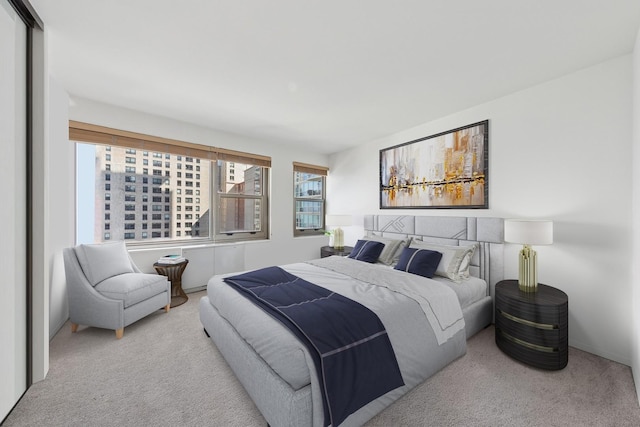 247 E Chestnut St Unit 1603, Chicago, IL 60611 - view of carpeted bedroom