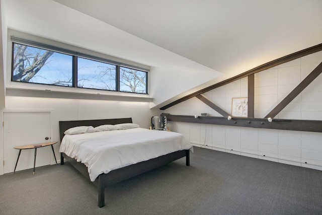 241 E Burlington St Unit C, Riverside, IL 60546 - view of carpeted bedroom