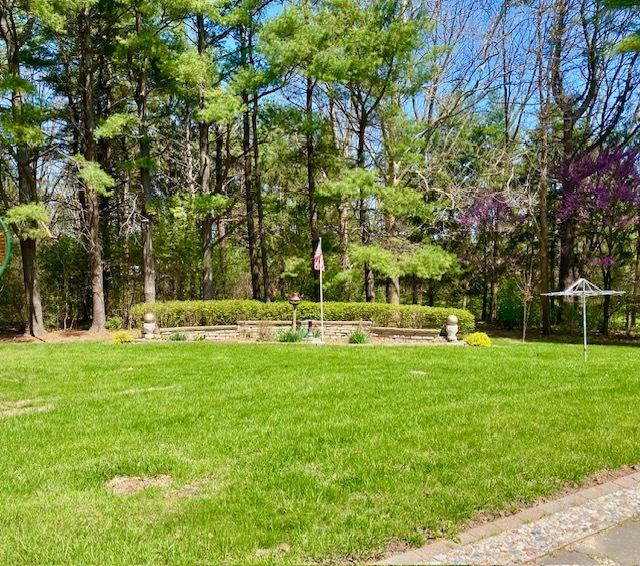 view of community featuring a lawn