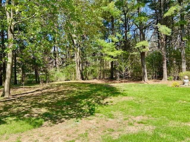 view of green lawn