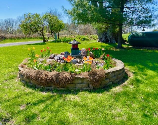 entry to storm shelter featuring a yard