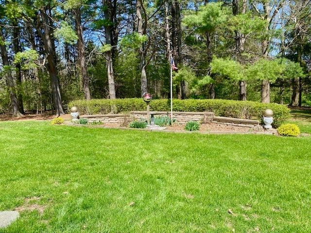 view of grassy yard