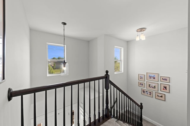 2319 Coventry Cir, Sycamore, IL 60178 - staircase featuring plenty of natural light and baseboards