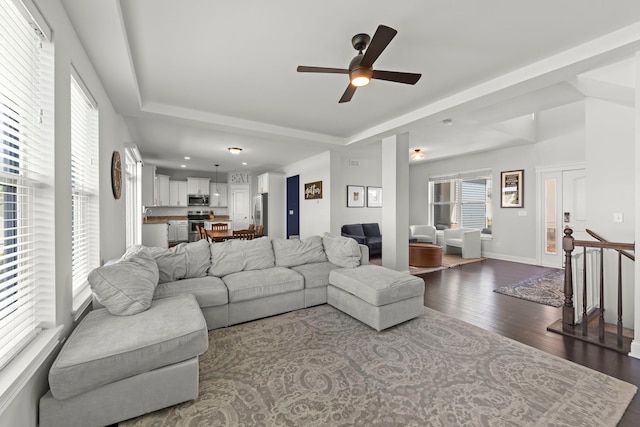 2319 Coventry Cir, Sycamore, IL 60178 - living room featuring a tray ceiling, dark wood finished floors, a ceiling fan, and baseboards