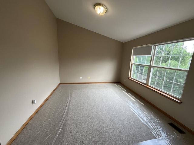 122 Tay River Dr, Carpentersville, IL 60110 - photo 13