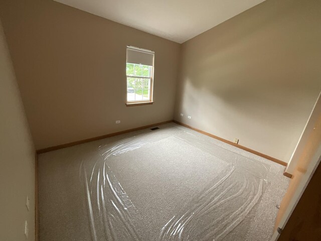122 Tay River Dr, Carpentersville, IL 60110 - photo 20