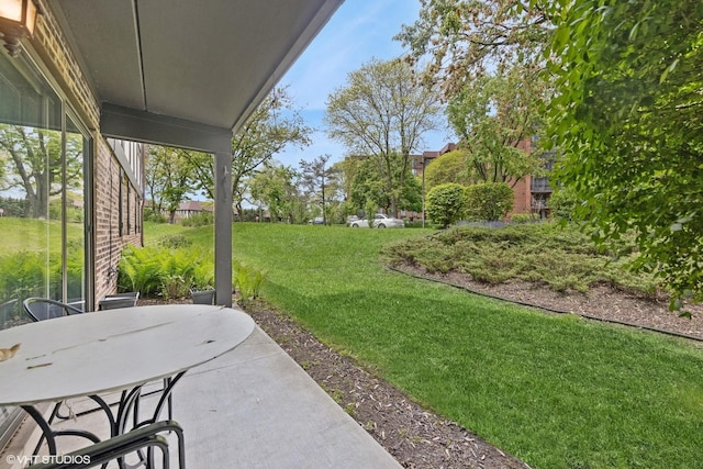 view of green lawn with a patio area