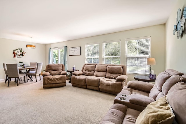 614 Grand Canyon Cir, Crystal Lake, IL 60014 - view of carpeted living area