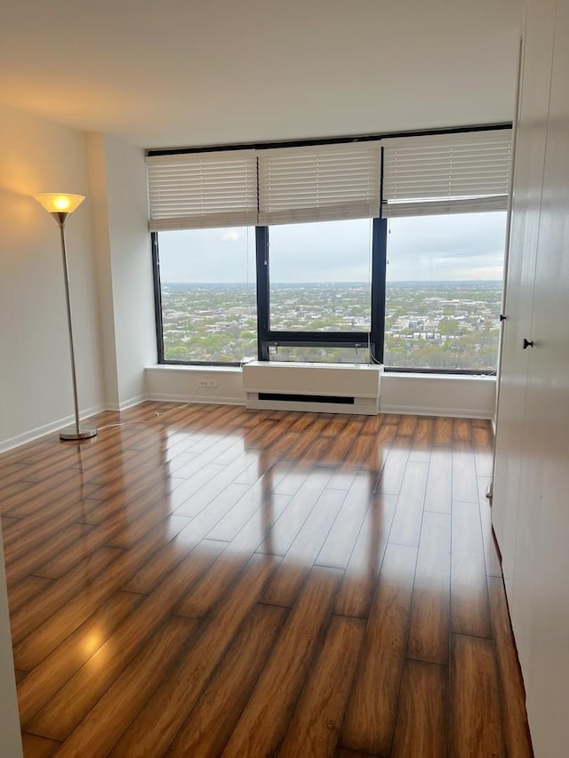 empty room featuring wood finished floors
