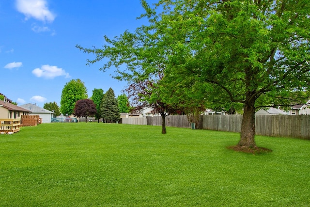 view of yard