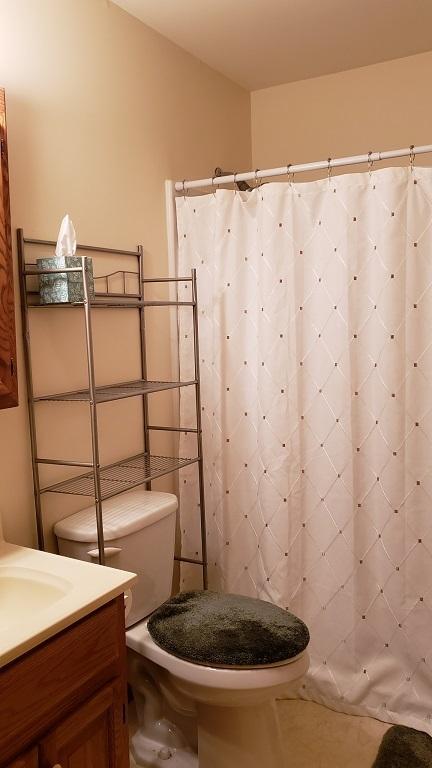 bathroom with toilet, vanity, and a shower with shower curtain