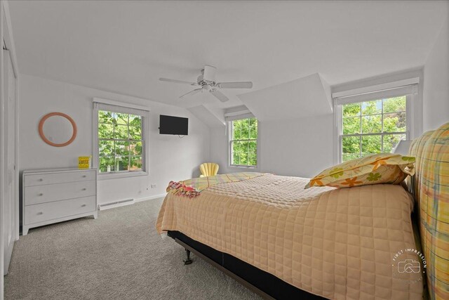 505 Waubonsee Trl, Batavia, IL 60510 - bedroom with a baseboard radiator, carpet flooring, lofted ceiling, a ceiling fan, and baseboards