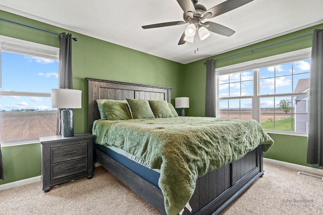 824 Briar Glen Ct, Hampshire, IL 60140 - bedroom featuring light carpet, baseboards, and a ceiling fan