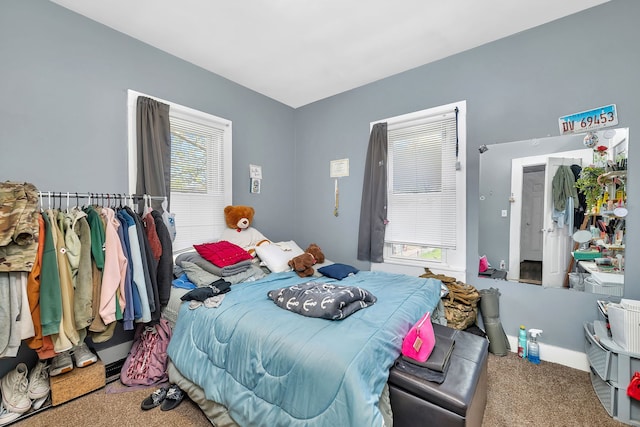 103 Grandview Ave, Lockport, IL 60441 - bedroom featuring carpet floors