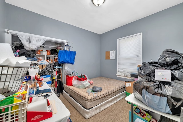 103 Grandview Ave, Lockport, IL 60441 - view of carpeted bedroom