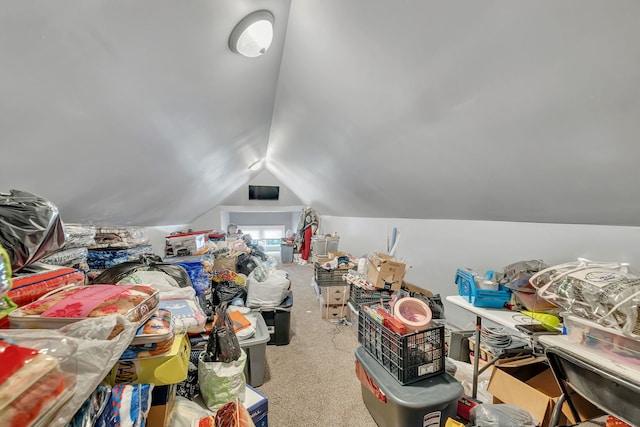103 Grandview Ave, Lockport, IL 60441 - bonus room with carpet and lofted ceiling