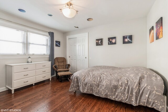 1080 E Prairie Ave, Des Plaines, IL 60016 - bedroom with dark wood-style flooring and a closet
