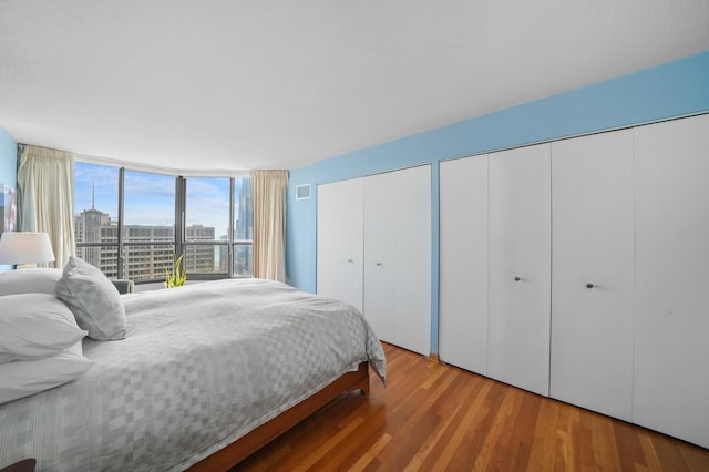405 N Wabash Ave Unit 4709, Chicago, IL 60611 - bedroom with two closets, wood finished floors, a view of city, and floor to ceiling windows