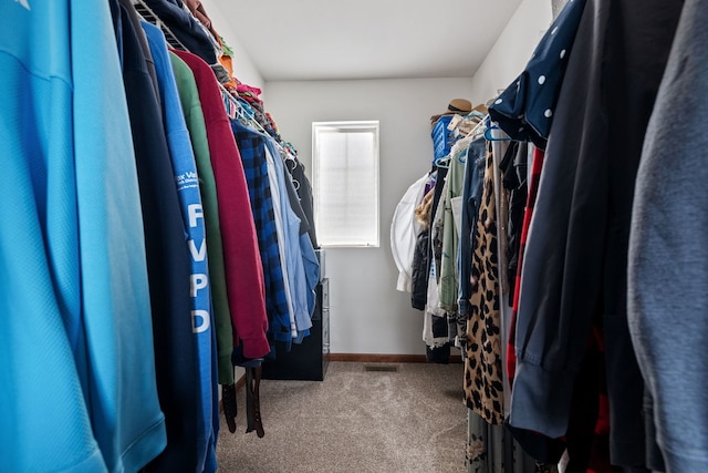 1020 Heron Cir, Joliet, IL 60431 - spacious closet with carpet floors