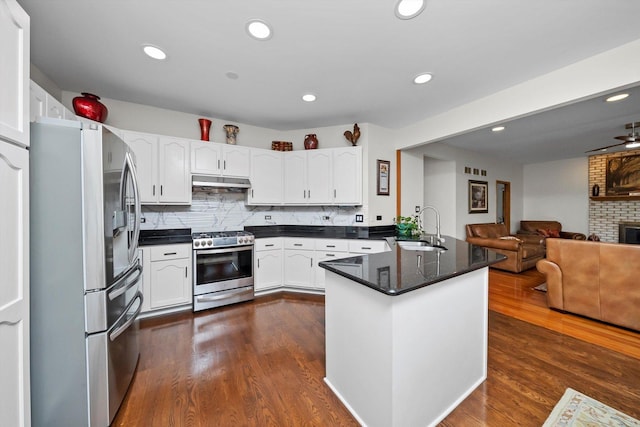 11731 Blackburn Dr, Orland Park, IL 60467 - kitchen with stainless steel appliances, a sink, a peninsula, under cabinet range hood, and open floor plan