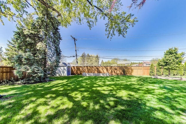 view of yard with a storage unit and an outdoor structure