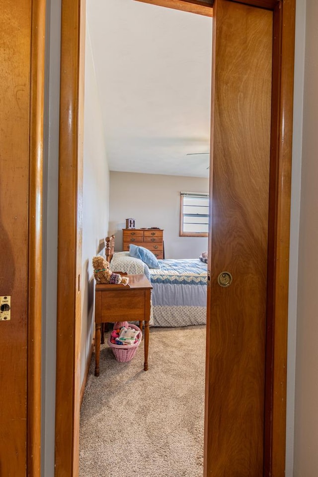 117 W N St, Wyanet, IL 61379 - photo 29