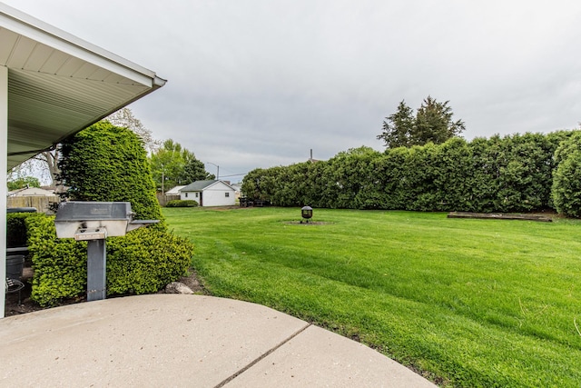 117 W N St, Wyanet, IL 61379 - photo 36