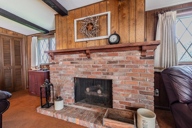 117 W N St, Wyanet, IL 61379 - photo 9