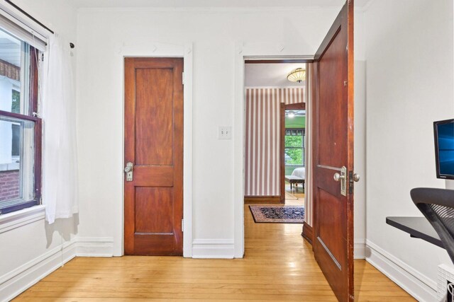 1031 S Humphrey Ave, Oak Park, IL 60304 - entrance foyer with light wood-style flooring and baseboards