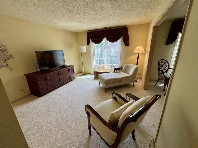 13464 S Westview Dr Unit 4, Palos Heights, IL 60463 - living area featuring a textured ceiling and light colored carpet