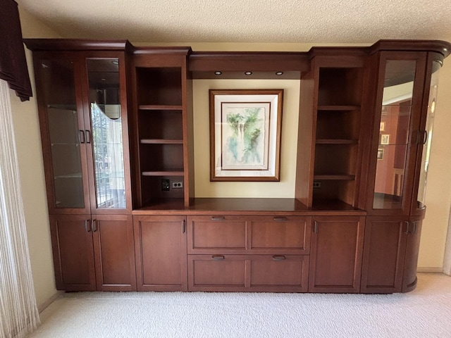 13464 S Westview Dr Unit 4, Palos Heights, IL 60463 - detailed view of carpet, a textured ceiling, and built in shelves