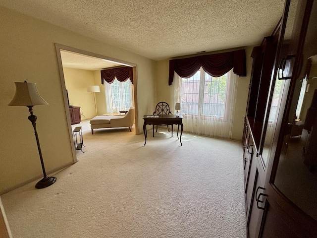 13464 S Westview Dr Unit 4, Palos Heights, IL 60463 - living area with healthy amount of natural light, light carpet, and a textured ceiling