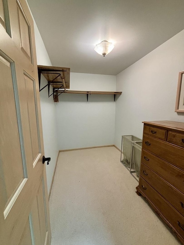 13464 S Westview Dr Unit 4, Palos Heights, IL 60463 - walk in closet with light carpet