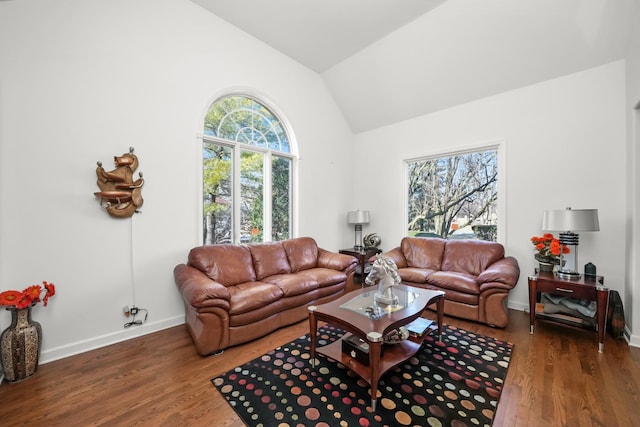 living area featuring wood finished floors, baseboards, and high vaulted ceiling