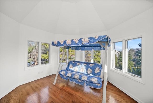 bedroom featuring high vaulted ceiling, multiple windows, wood finished floors, and baseboards