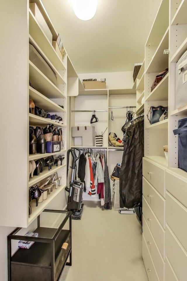 19 W 15th St, Chicago, IL 60605 - view of walk in closet
