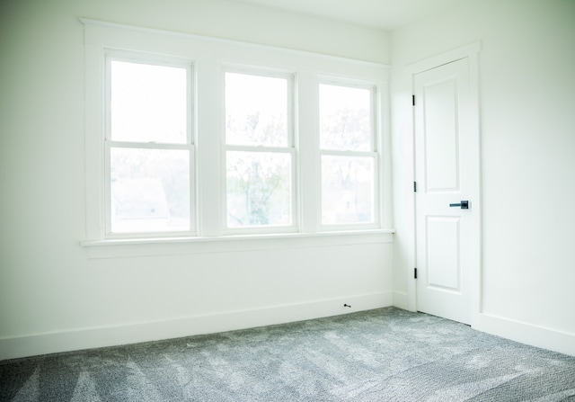 118 W 118th St, Chicago, IL 60628 - unfurnished room with carpet and baseboards