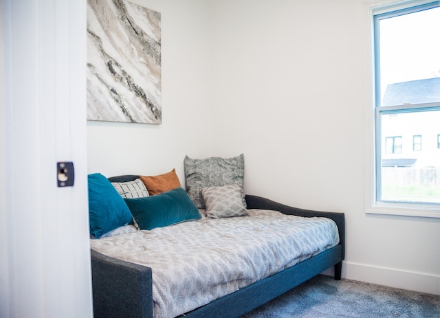 118 W 118th St, Chicago, IL 60628 - bedroom featuring multiple windows, carpet floors, and baseboards